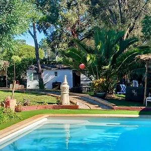 Appartement Casa Koala Da Valdareina, Bénagil, Carvoeiro, Marinha, Carvoeiro (Lagoa)